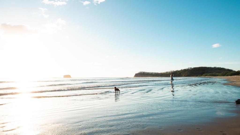 南圣胡安Playa Hermosa Eco Resort的一群人在海滩上玩水