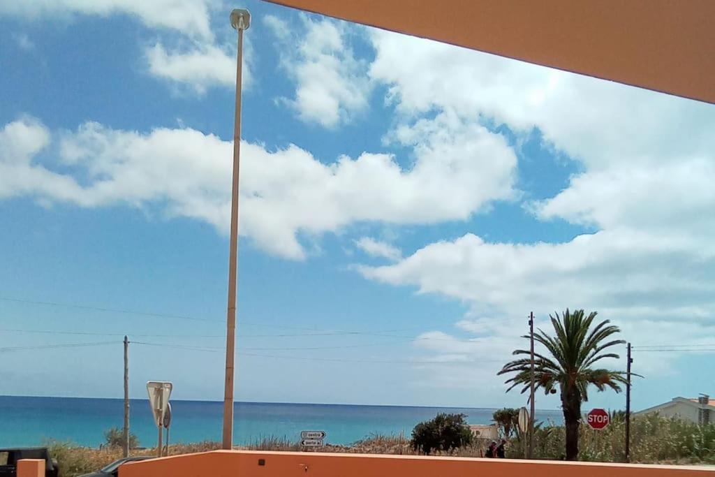 圣港Praia Encantada的棕榈树和停泊标志的海景