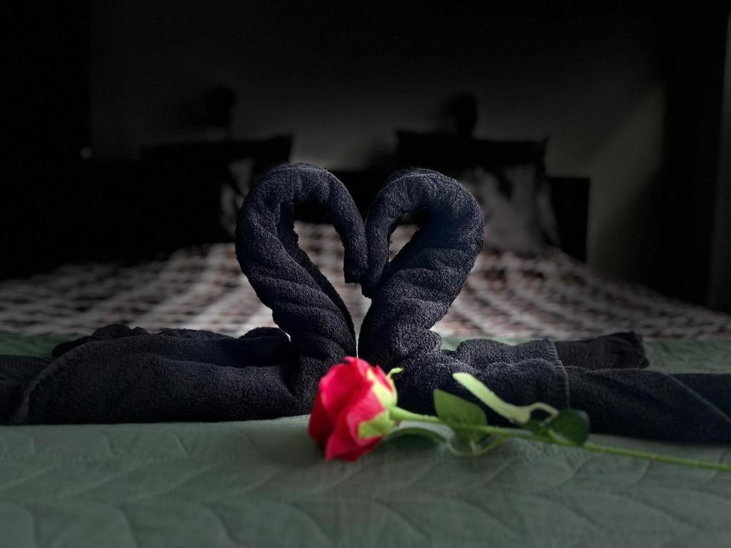莱利斯塔德Luxe Studio Liemers的床上用毛巾制成的两天鹅