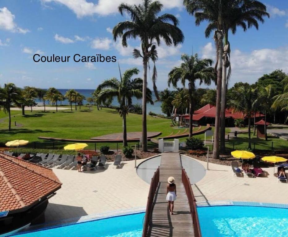 圣吕斯Couleur caraïbes appartement dans un hôtel 3 étoiles vue mer的棕榈树度假村的游泳池景