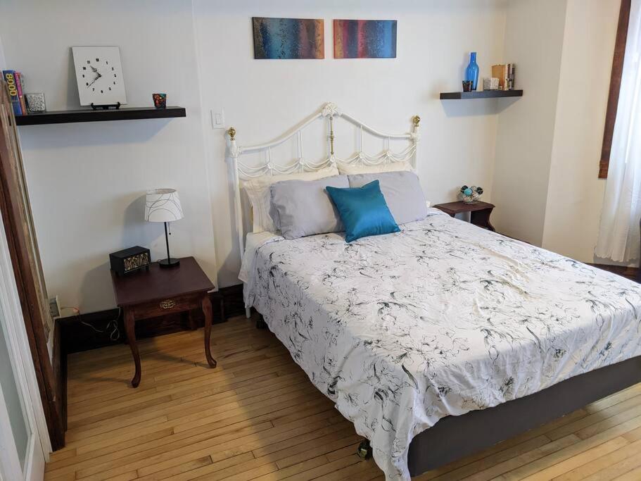 温尼伯2 Bedroom Family & Pet Friendly Character Building的一间卧室配有一张带蓝色枕头的床。
