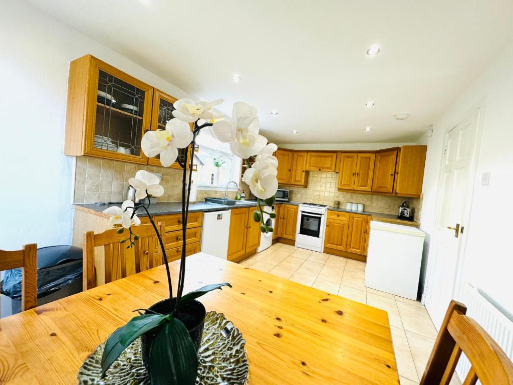 TillicoultryTillicoultry Jupiter Apartment - Scotland Holiday Let的厨房配有木制橱柜和木桌及植物