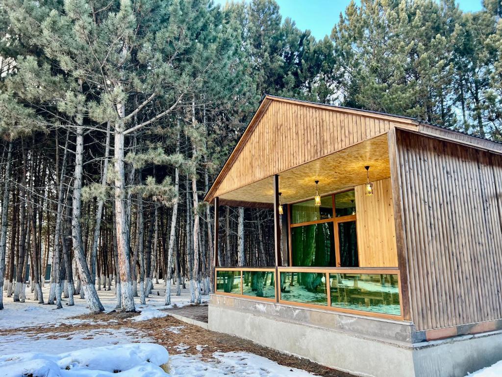 塞凡Milenium magic villa on Sevan beach的树林里的房子,地面上积雪