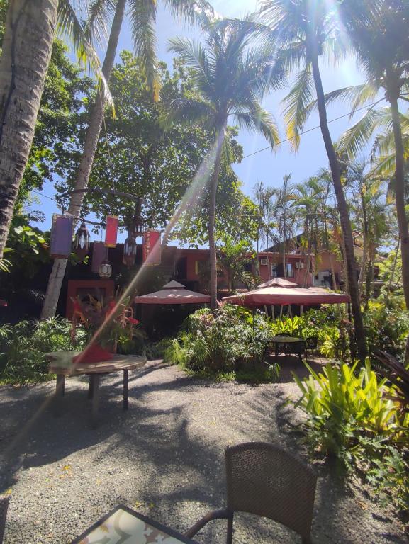 塔马林多Hotel Laguna del Cocodrilo的棕榈树花园内的吊床