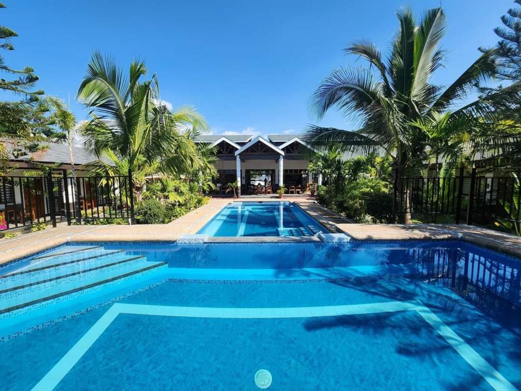 巴旺Marand Beach Resort的棕榈树度假村内的游泳池