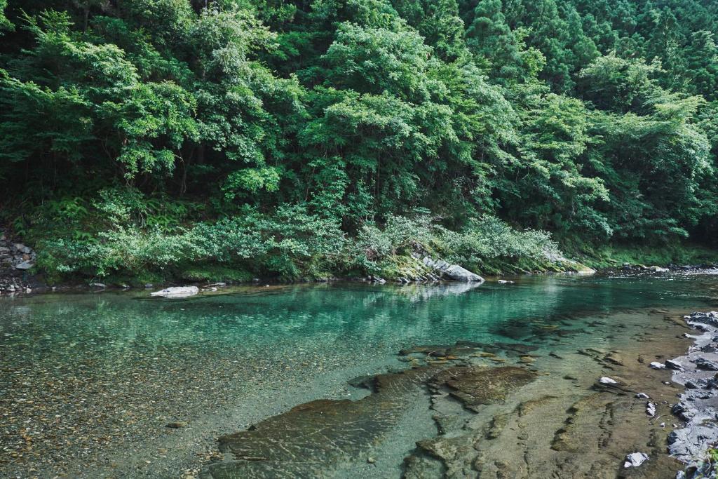 田边市熊野四季亭的森林中带绿松石水的河流