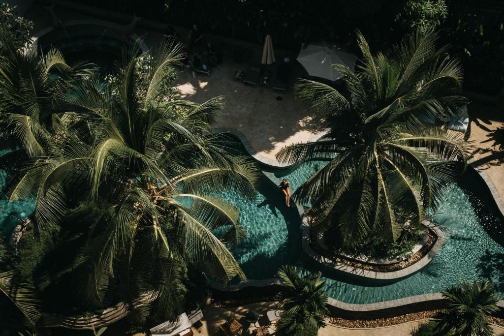暹粒Hotel Vellita Siem reap的棕榈树泳池的顶部景色