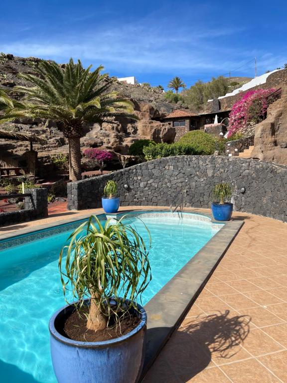 阿索马达Castillo Lanzarote Villa 3 - Sleep in a Volcanic Cave的石墙旁的游泳池,种植了盆栽植物