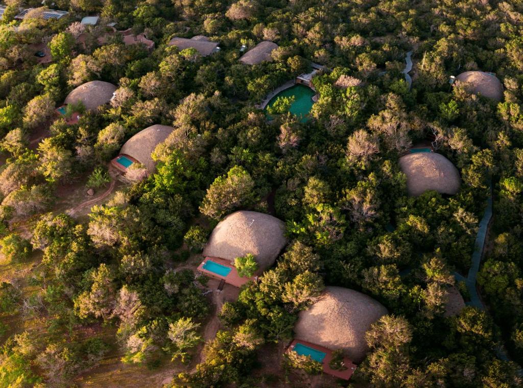 雅拉Uga Chena Huts - Yala - All Inclusive的干草屋顶森林的顶部景观