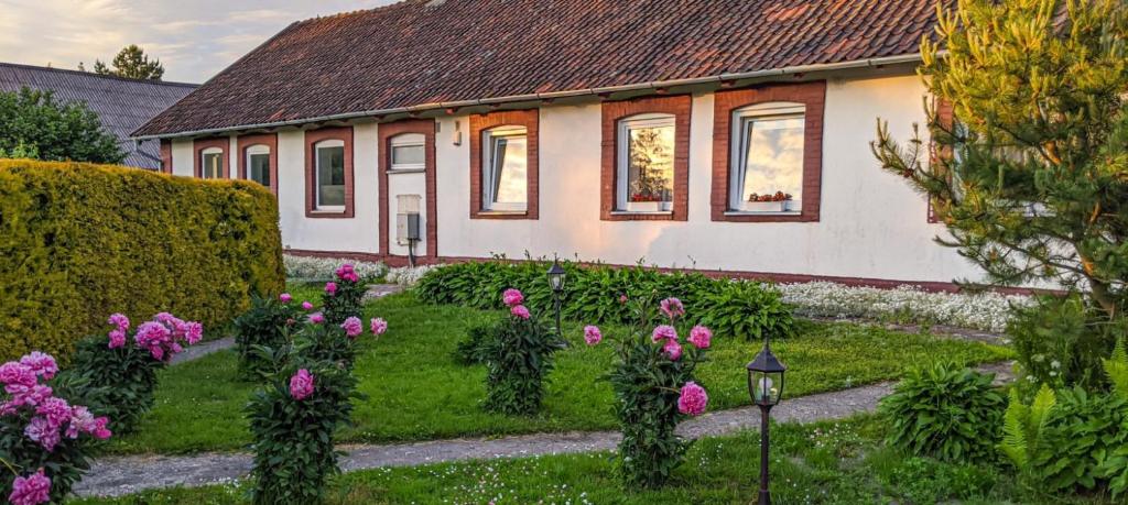 MingėJono Bulavino sodyba的院子里有粉红色花的房子