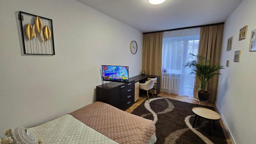 凯尔采Duże pokoje w nowoczesnym stylu的客房设有1张床、1台电视和1张桌子。