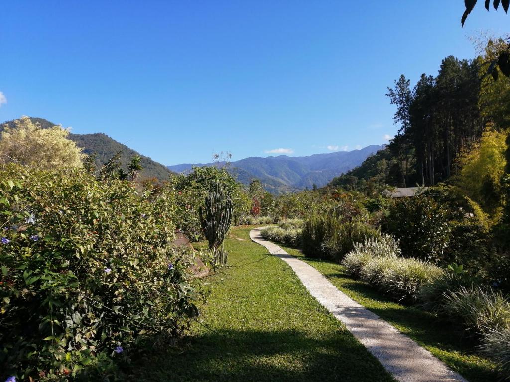 ChimirolLa Cima del Mundo的一条穿过花园的小径,花园的背景是群山