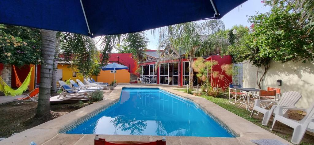 科隆Costas del Paraiso的一个带椅子和遮阳伞的游泳池