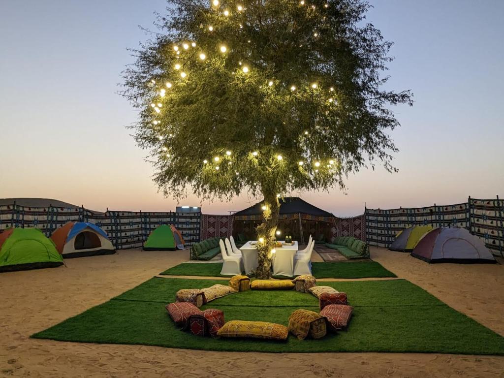 迪拜Enjoy The Leisure of Overnight Campsite in Dubai Desert Safari With Complementary Pick up的一组帐篷和一棵灯光树