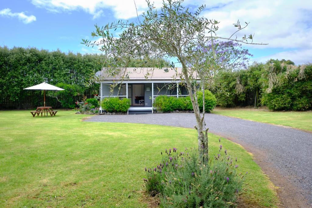 凯里凯里Kendall Cottage - Kerikeri New Zealand的院子里有树的房子