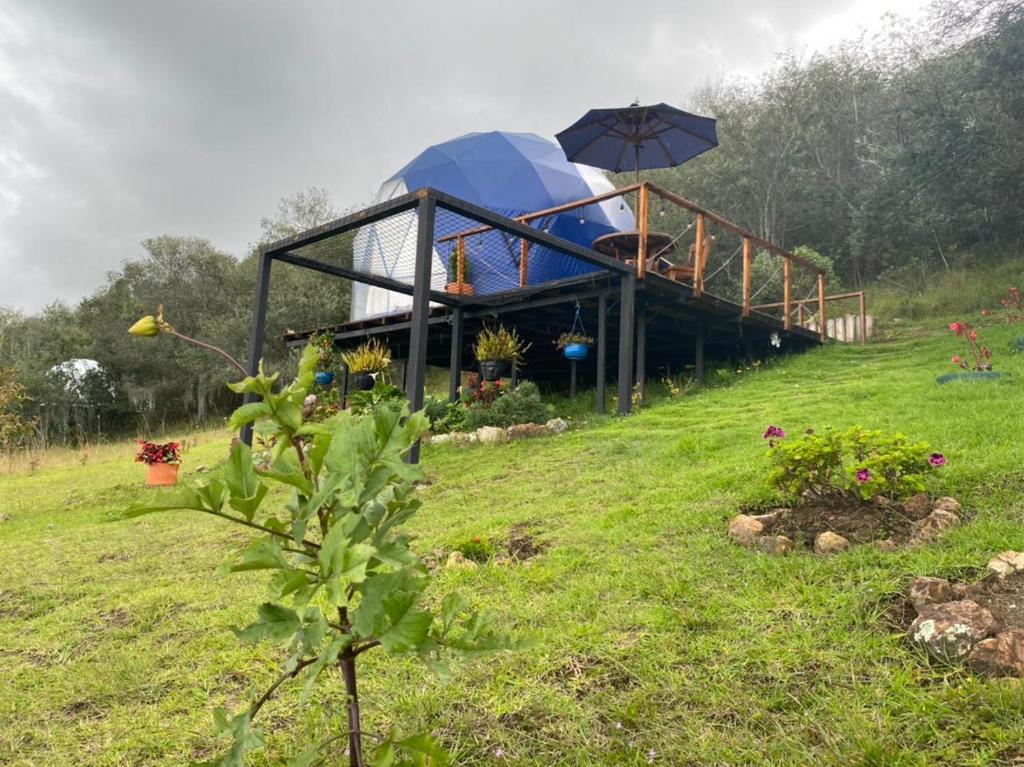 瓜塔维塔Glamping blue.的山顶上带雨伞的房子