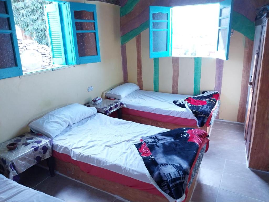 阿斯旺Azoz Nubian House的带两张床和两个窗户的房间