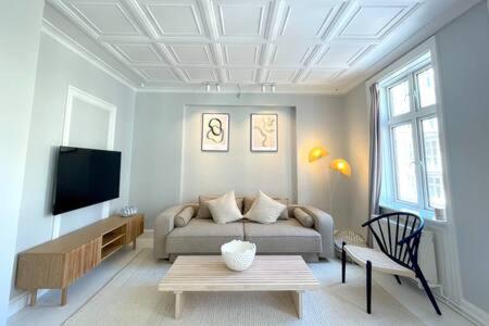 哥本哈根Flat in Trendy and Vibrant Nørrebro Area的带沙发和电视的客厅