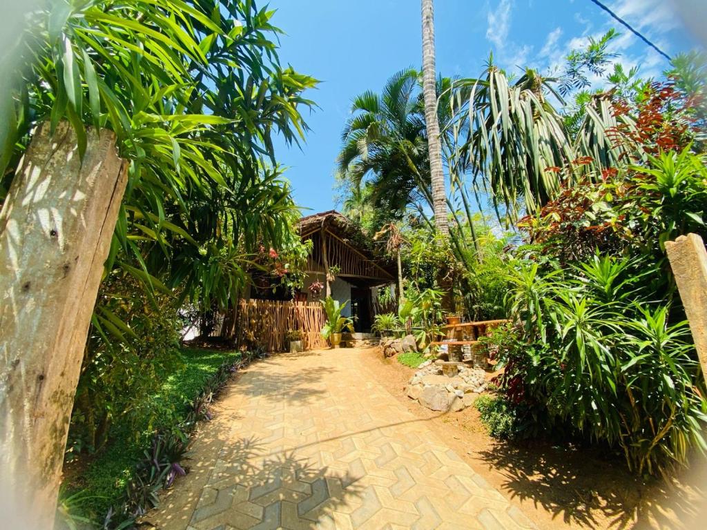 迪克韦勒Art house hiriketiya的一条通往棕榈树房屋的路径