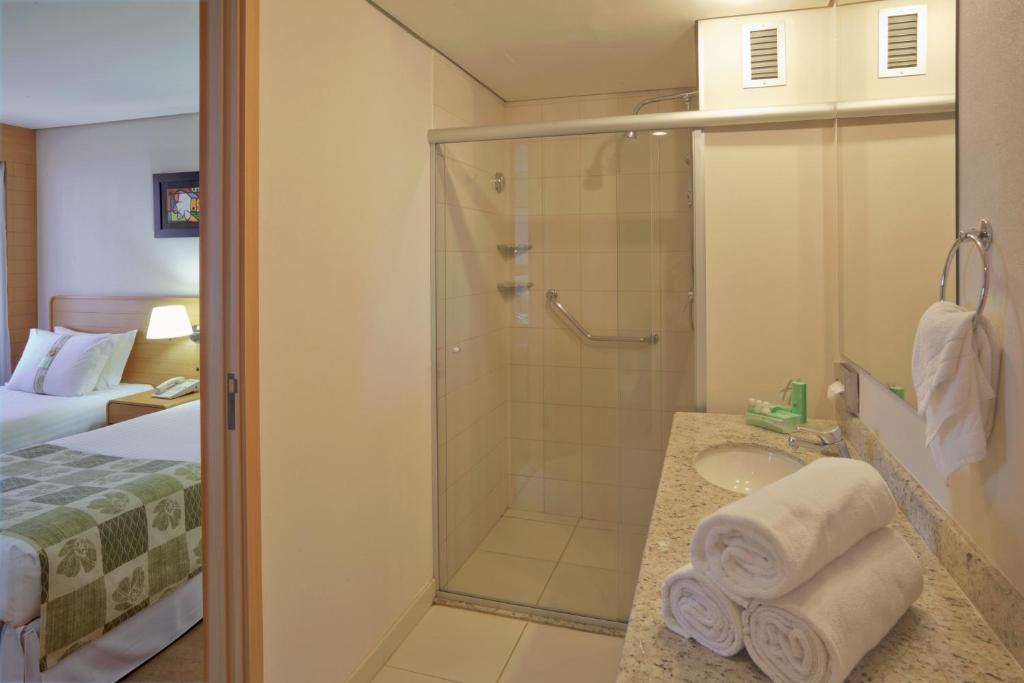 圣保罗安海比公园假日酒店的带淋浴、床和盥洗盆的浴室