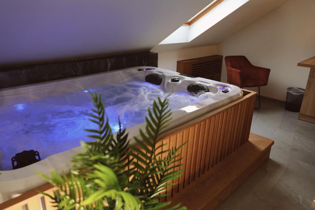 波热加Sax-Win的植物间里的一个大型热水浴缸