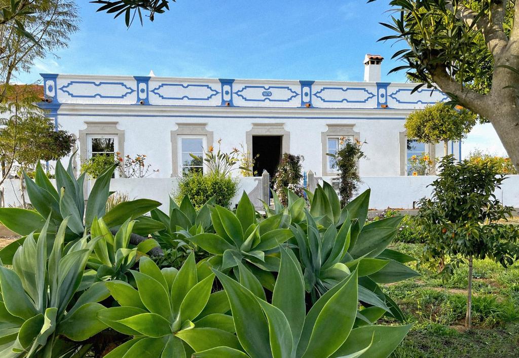 维拉诺瓦德卡塞拉Quinta Baltazar Casa particular的白色房子,有蓝色的修剪和植物