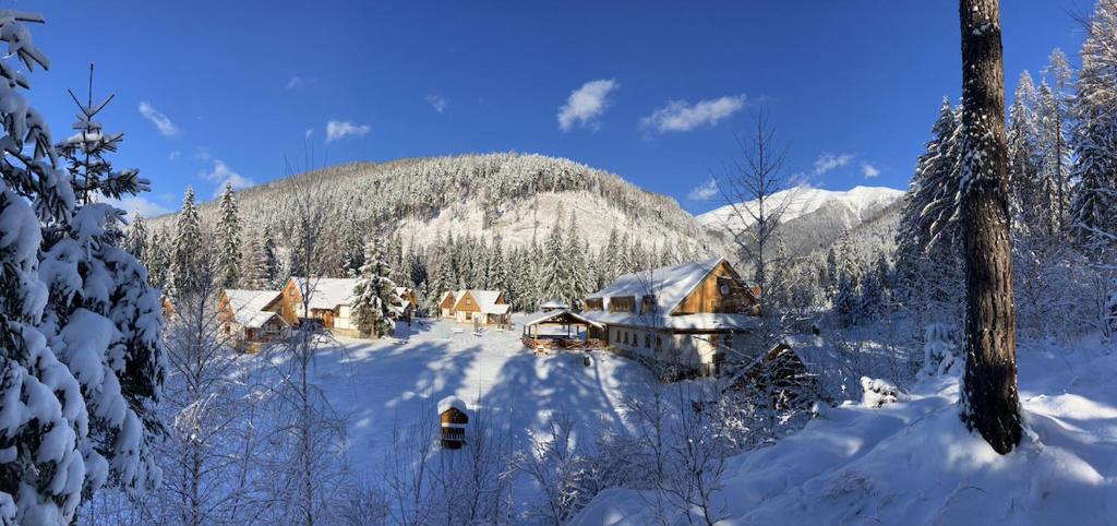 日亚尔Chaty a horský hotel Kožiar的一座雪覆盖的村庄,后面有一座山