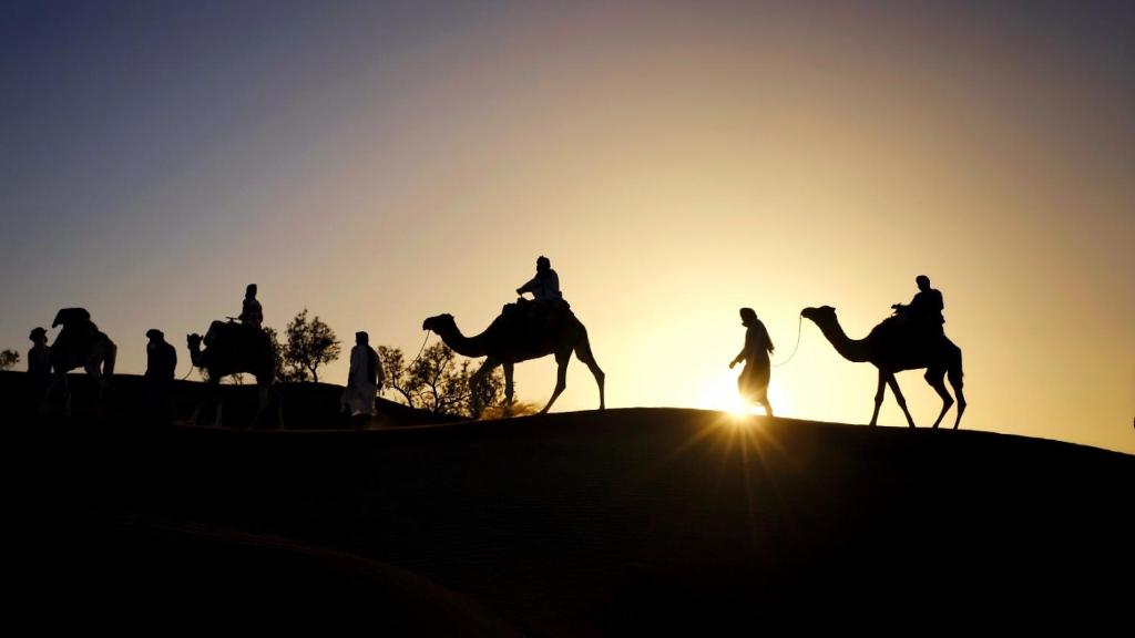 MhamidMhamid Luxury Camp的一群人日落时在沙漠骑骆驼