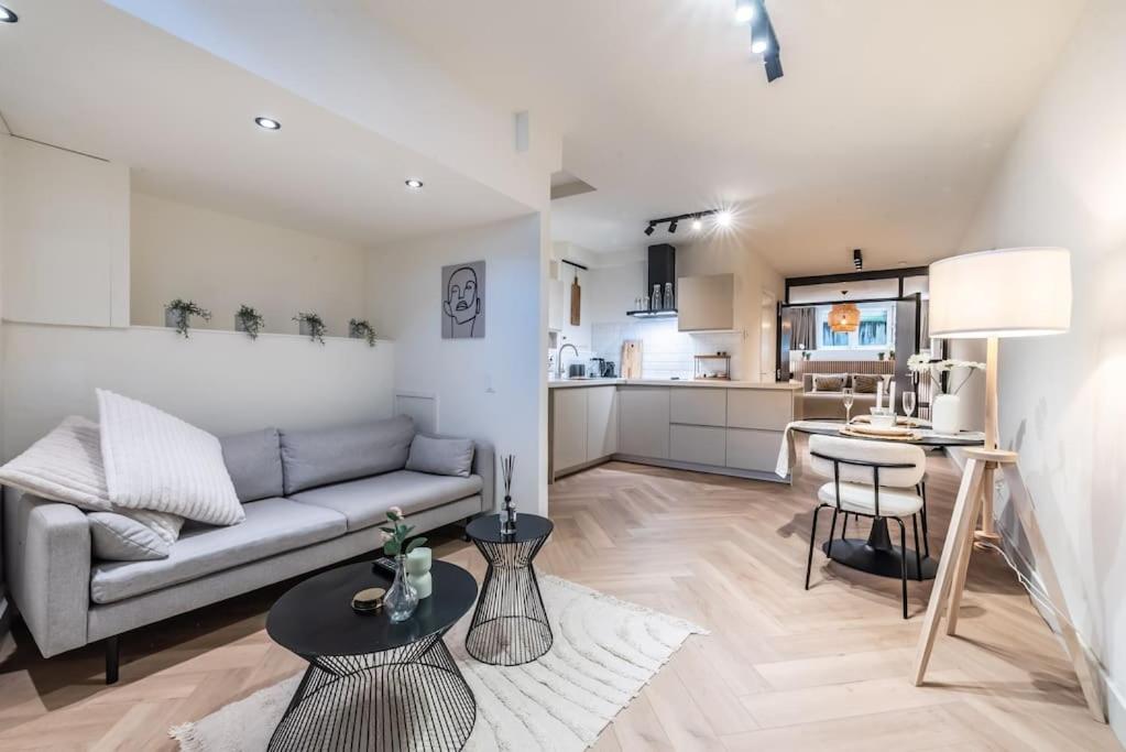 阿姆斯特丹Central Luxury Apartment的带沙发的客厅和厨房