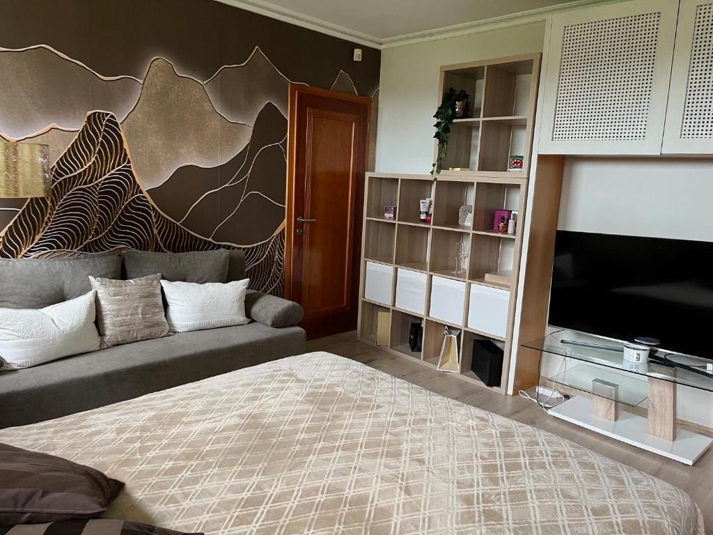 布达佩斯Adyliget Relax的一间卧室配有一张床、一张沙发和一台电视。