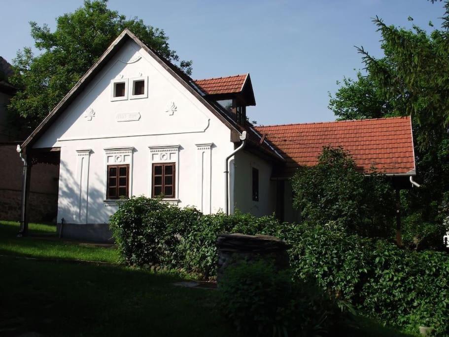 NagyvisnyóCreekside country cottage Nagyvisnyo/ Patakparti paraszthaz Nagyvisnyo的一间白色的小房子,有红色的屋顶