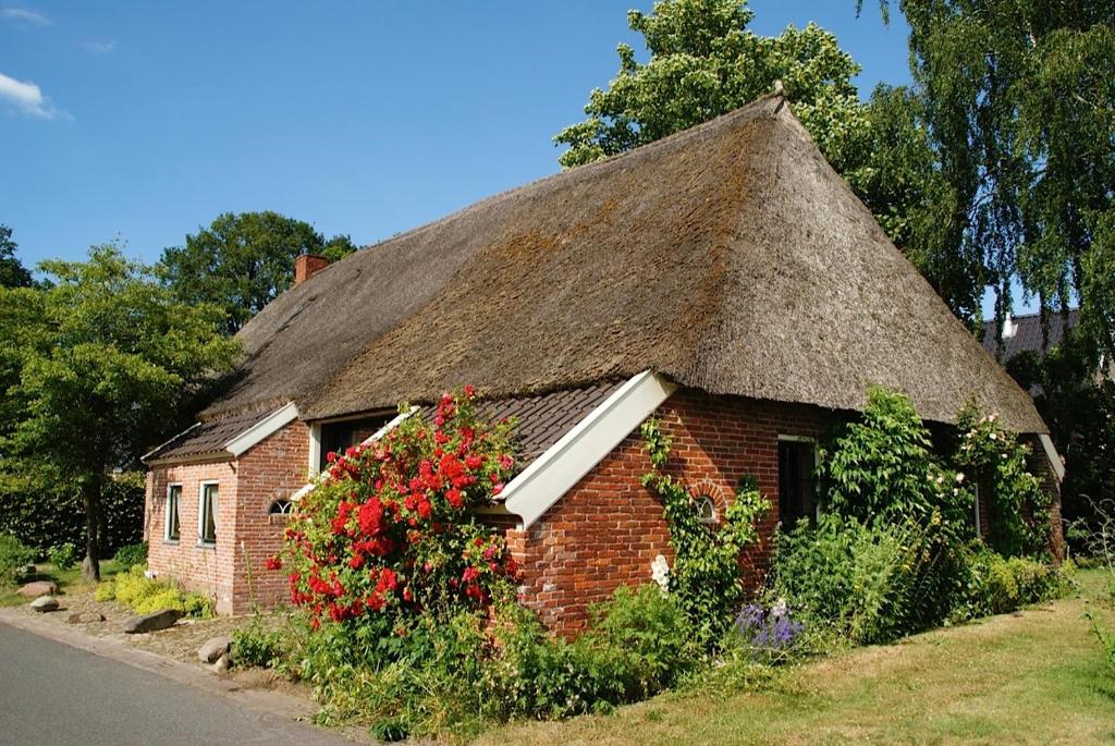 伊科斯特De Leemstee, Authentieke boerderij met modern comfort的一座带茅草屋顶的小砖屋,花卉