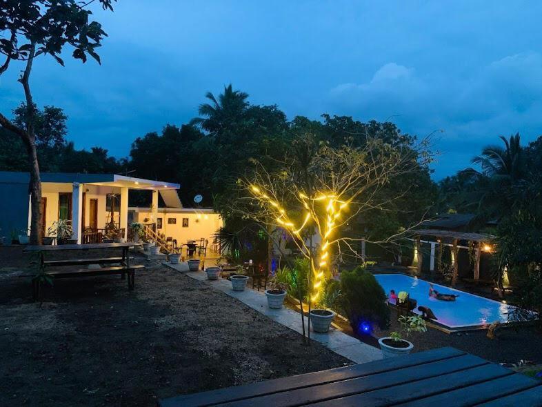 达瓦拉维Lily Resort Udawalawe的后院设有游泳池和带灯的房屋