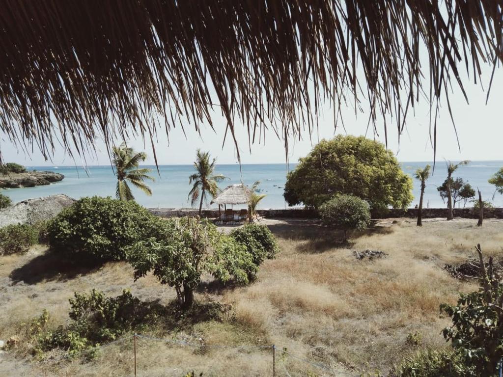 内布拉拉坎邦卡卡假日公园的享有树木繁茂的海滩和大海的景致。