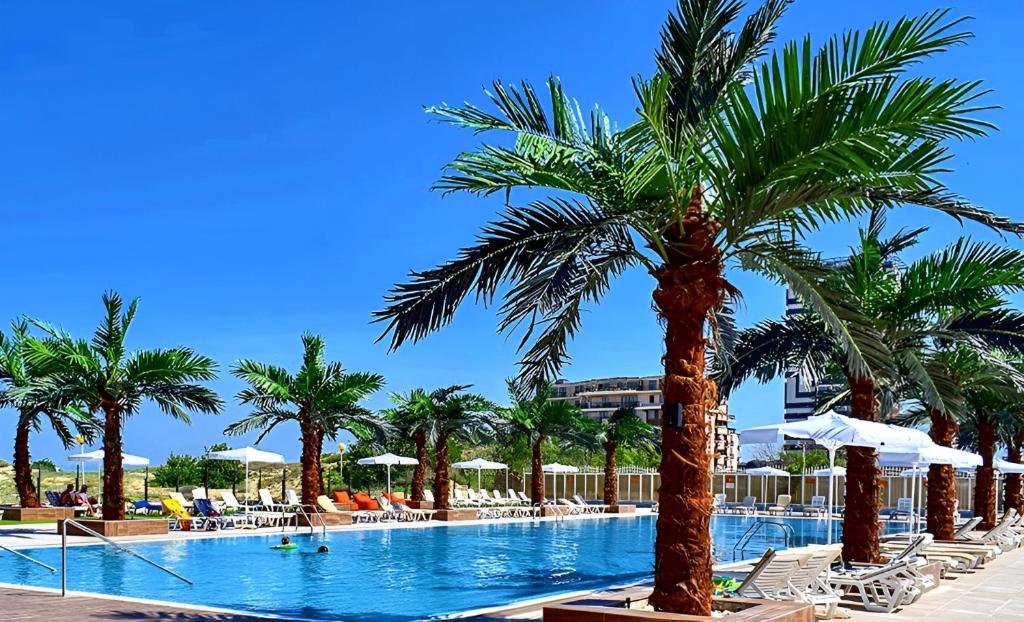 阳光海滩Europe Hotel & Casino All Inclusive的一个带棕榈树和躺椅的游泳池