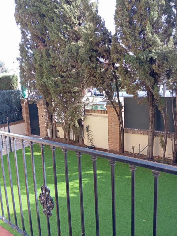 格拉纳达El Diez de Sultana的绿色草木的铁艺围栏