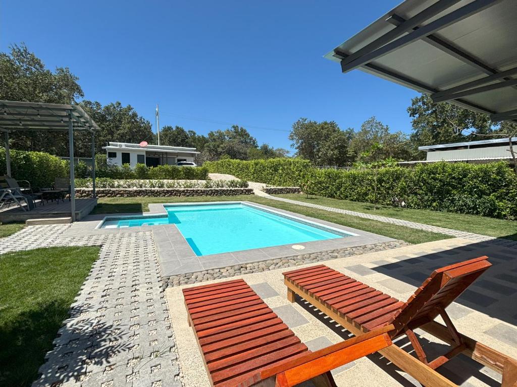 利比里亚Amazilia Guesthouse的一个带草坪椅的游泳池和一个游泳池