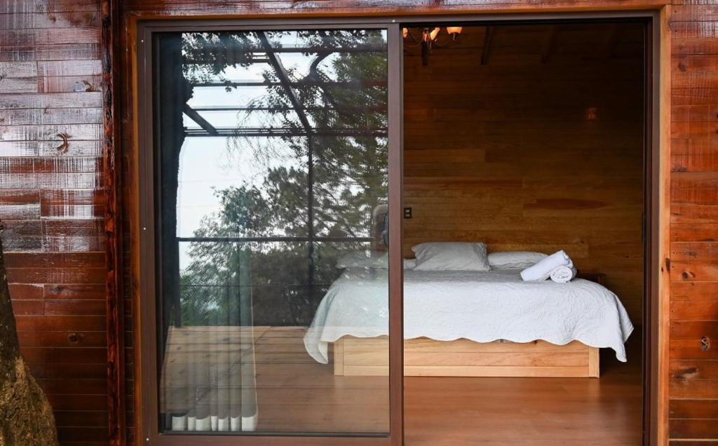 San Jose del PacificoSan José del Pacífico Camino al Cielo C3的一间卧室设有一张床和一个大型玻璃窗