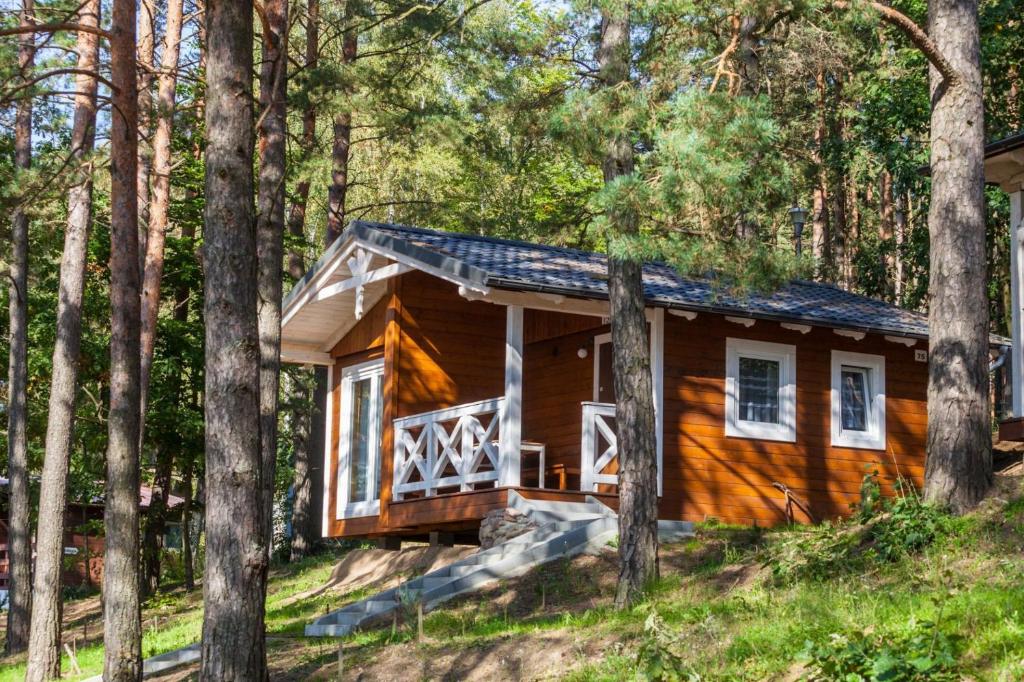 科希切日纳Domki Szarlota - atrakcje dla rodzin na Kaszubach的树林中的小屋