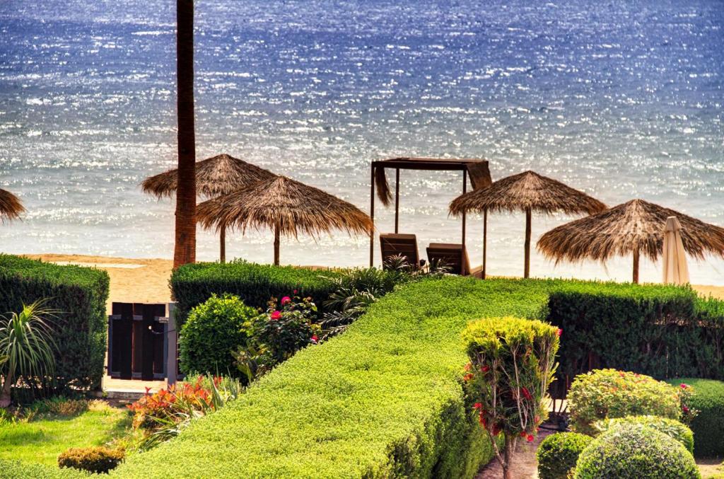 拉纳卡Luxury Beachfront Villa with Private Pool, Yoga & Sea Adventures的海滩上,有遮阳伞和海洋