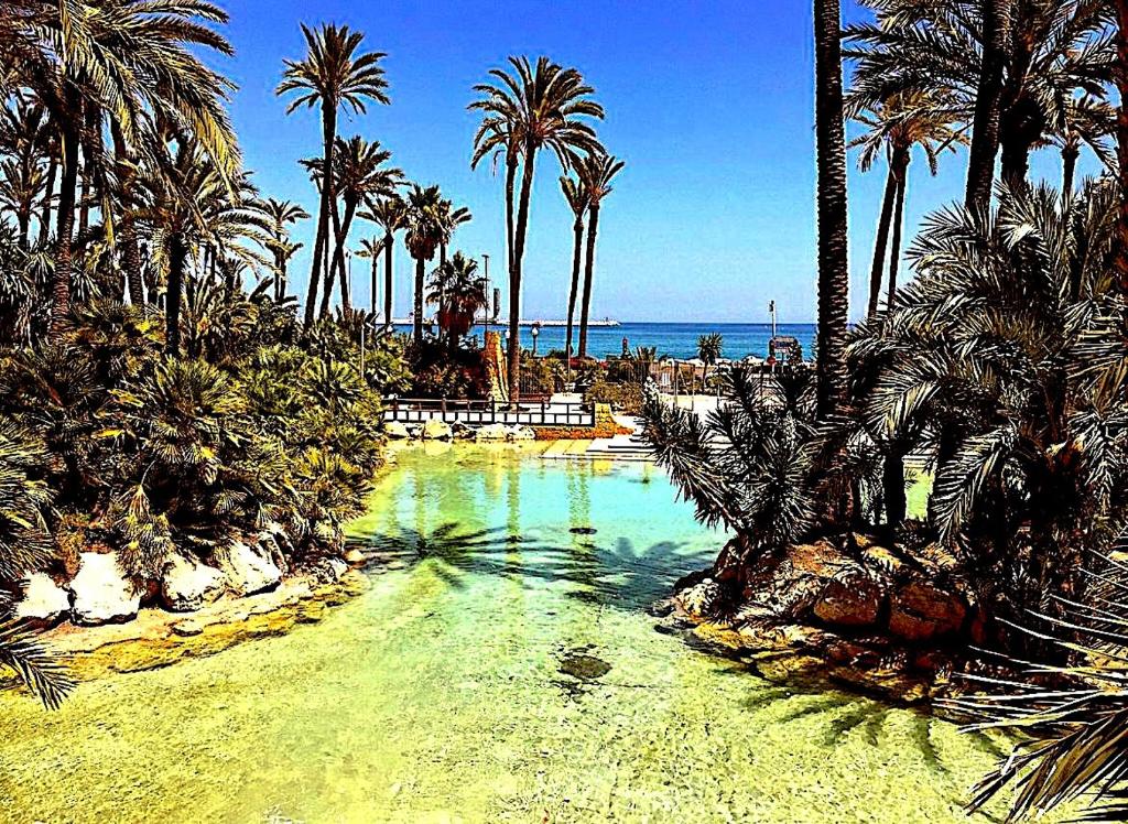 圣波拉Santa Pola port, sea view的棕榈树和海洋的海水游泳池