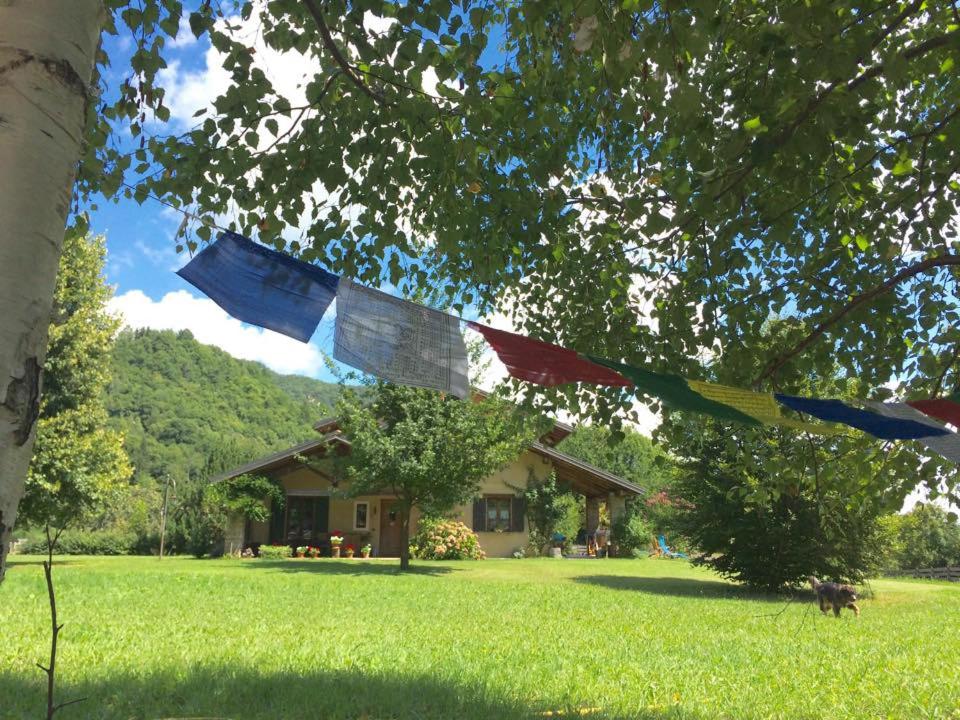 加约拉斯泰拉塔罗缇住宿加早餐旅馆的悬挂在房子前树上的旗帜