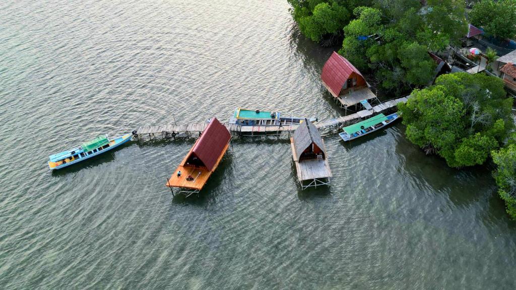 LampungVilla Mangrove Pulau Pahawang的一群船在水体中