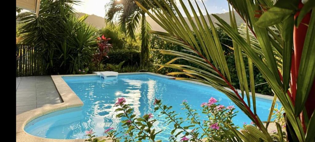 勒马兰villa T4 Kezia的花园中的一个蓝色小游泳池