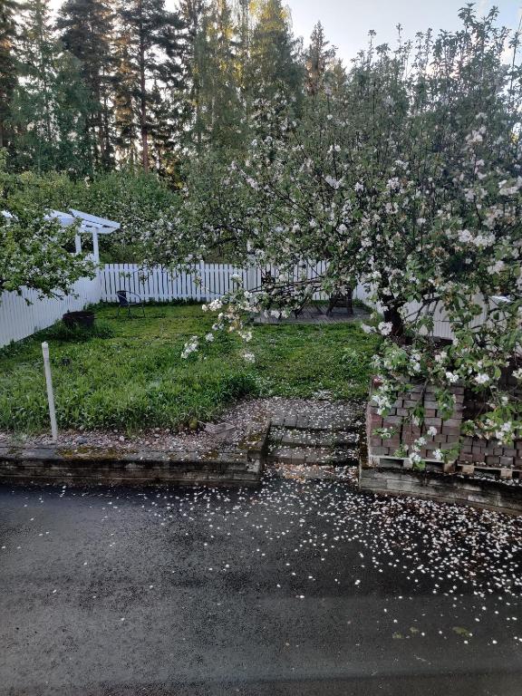 拉赫蒂Vintage Retreat的院子中种着苹果树的围栏