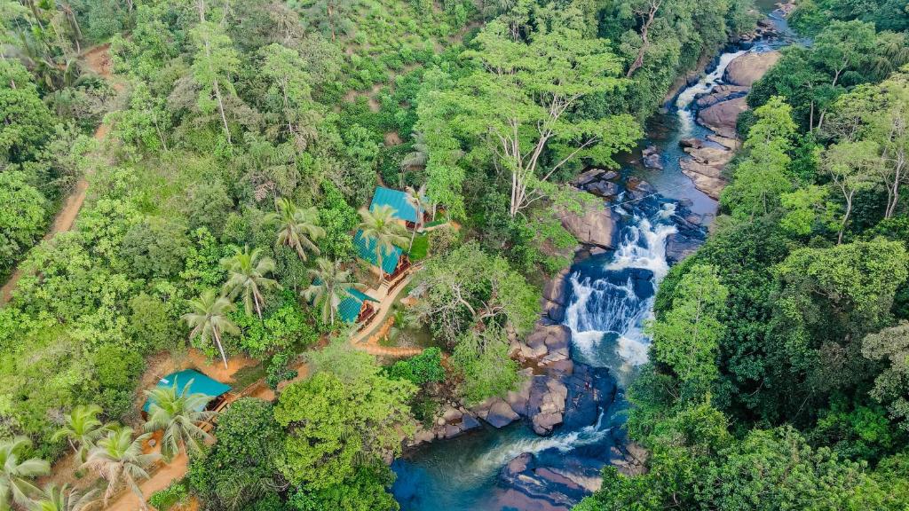 代尼耶耶The Rainforest Hideaway的森林瀑布的空中景观