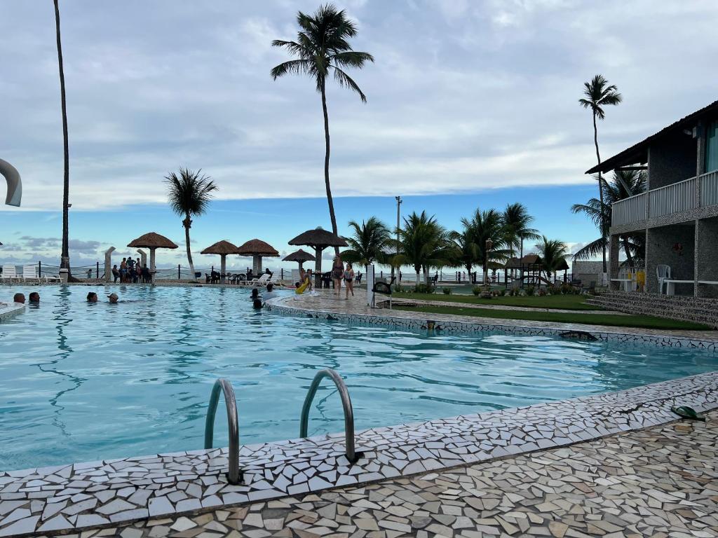 马拉戈日Village Gales Prive Maragogi的棕榈树海滩旁的游泳池