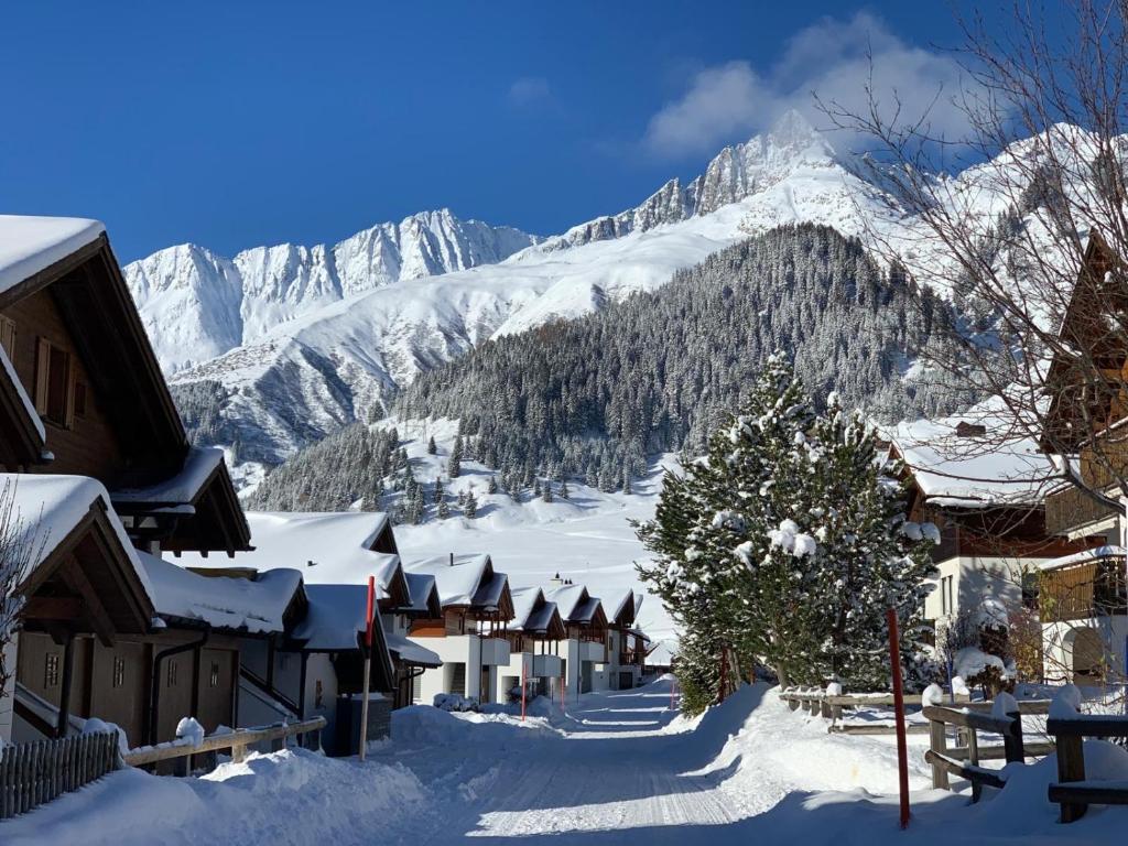 塞德龙Swiss Alpine Hideaway的山地覆盖的村庄
