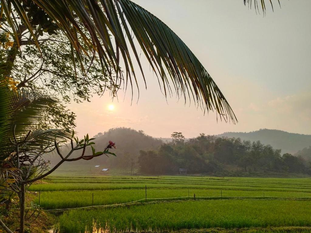 琅勃拉邦Glamping Laos的享有绿色田野和天空中的阳光