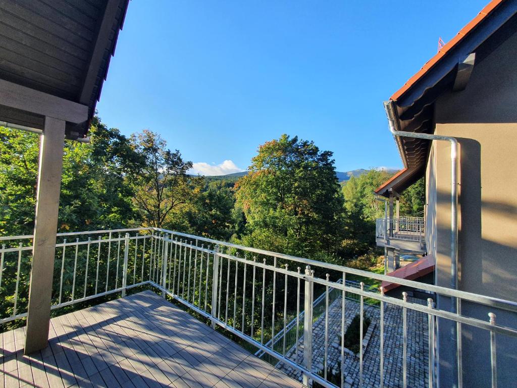 耶莱尼亚古拉Apartamenty Bliżej Nieba - Jagniątków的阳台享有树林美景。